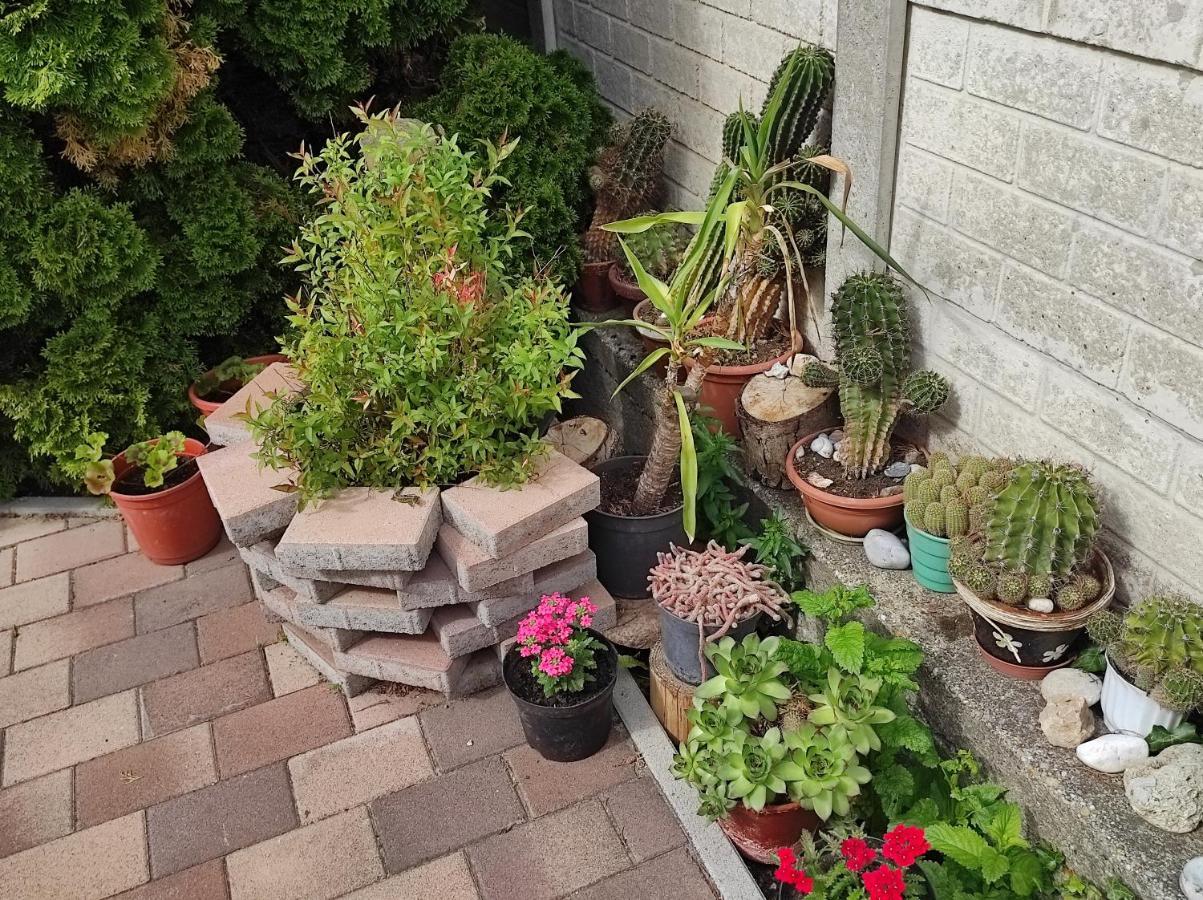Appartamenti Delle Vacanze Keszthely Buitenkant foto